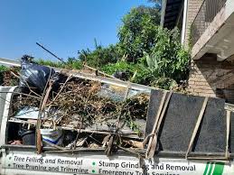  Mount Airy, NC Junk Removal Pros